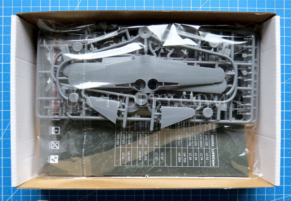 1/72 Vultee P-66 Vanguard. Dora Wings DW72040